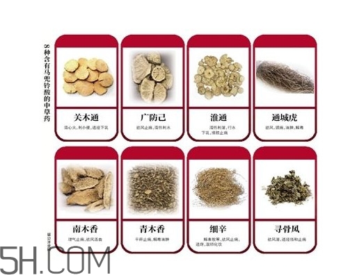 含馬兜鈴酸的藥都不能吃嗎？馬兜鈴酸真的會(huì)致癌嗎