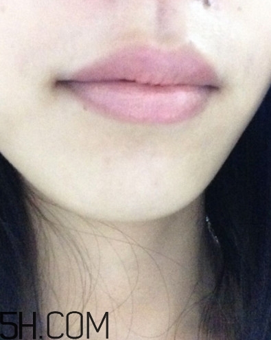 dhc美容液唇膏好嗎？dhc尊貴美容液唇膏試色