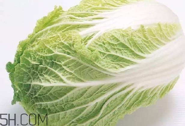 大白菜什么時(shí)候種最合適？大白菜怎么做好吃
