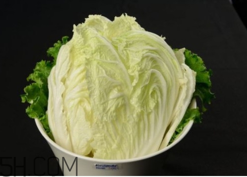 大白菜起源是哪里？大白菜產(chǎn)地分布有哪些