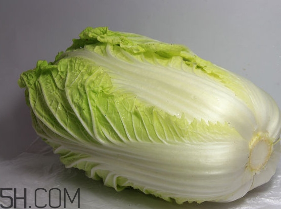大白菜是涼性還是熱性？大白菜是什么季節(jié)的