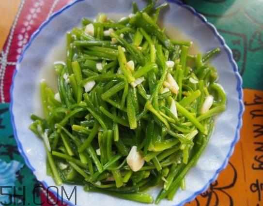 麗江水性楊花是什么菜？水性楊花菜怎么做？