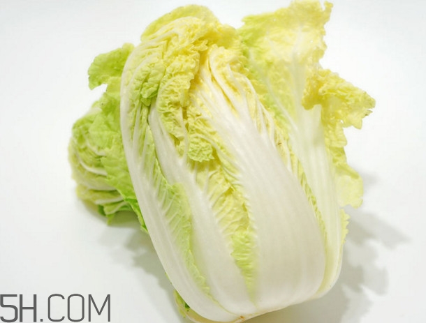 大白菜起源是哪里？大白菜產(chǎn)地分布有哪些