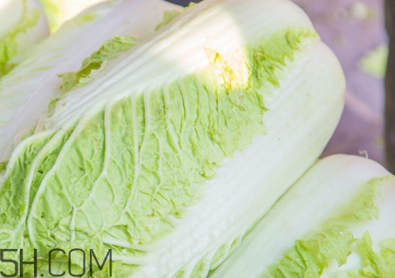 大白菜可以生吃嗎？大白菜可以隔夜吃嗎