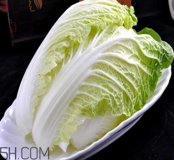 大白菜起源是哪里？大白菜產(chǎn)地分布有哪些