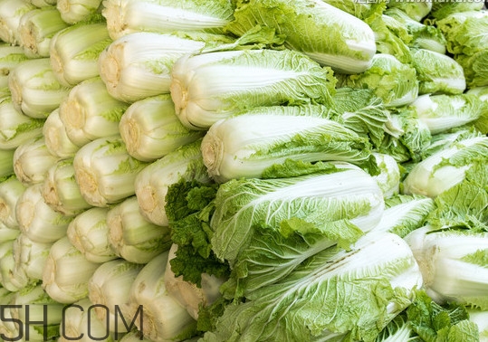 冬儲大白菜怎么才不會壞？冬儲大白菜什么時候上市