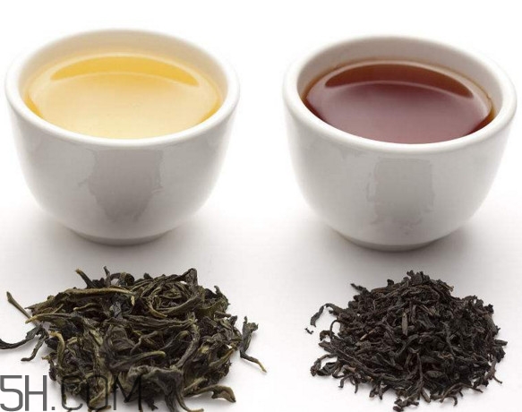 烏龍茶是什么茶？烏龍茶是紅茶還是綠茶