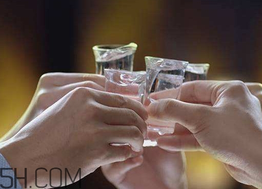 一生一世是什么酒？一生一世酒多少錢一瓶