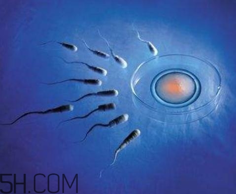 弱精癥能做試管嬰兒?jiǎn)幔咳蹙Y可以人工受精嗎？
