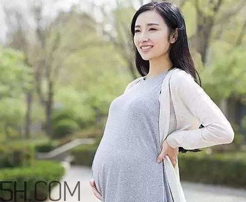 懷孕了可以吃可樂雞翅嗎？可樂雞翅什么人不能吃