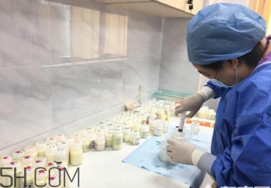 人乳庫(kù)是什么？為什么成立人乳庫(kù)