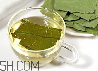 荷葉茶大概哪里有賣？荷葉茶副作用有哪些