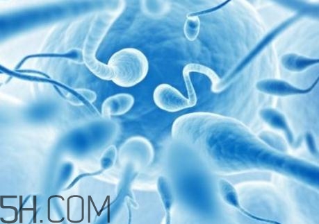 精子不液化是什么原因造成的？精子不液化吃什么藥好？