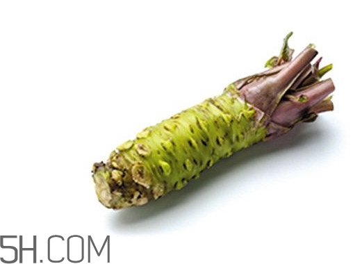 芥末為什么會(huì)沖鼻？芥末長(zhǎng)什么樣子
