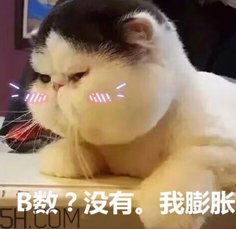 b數(shù)沒有我膨脹什么意思？b數(shù)沒有我膨脹表情包