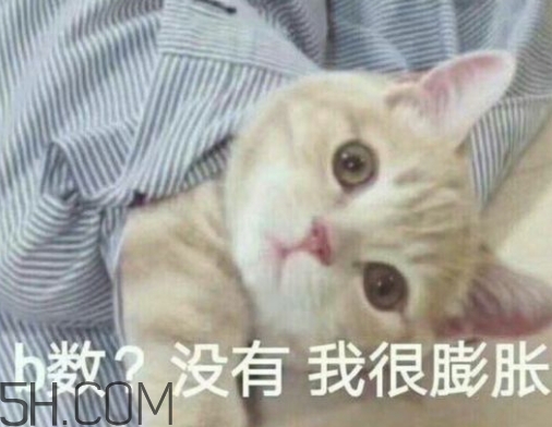 b數(shù)沒有我膨脹什么意思？b數(shù)沒有我膨脹表情包