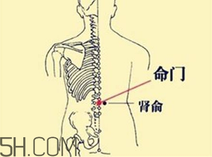 小腿抽筋可以跑步嗎？小腿抽筋可以拔火罐嗎