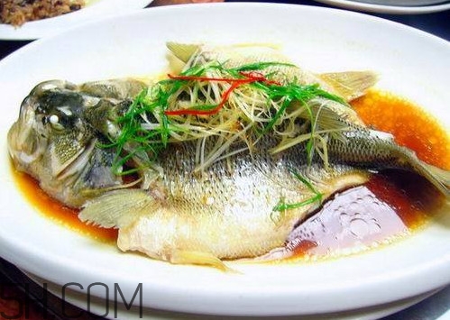 松江鱸魚怎么做？松江鱸魚養(yǎng)殖技術(shù)