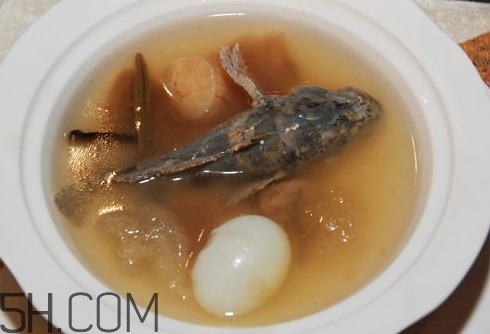 松江鱸魚哪里有？松江鱸魚什么季節(jié)吃最好