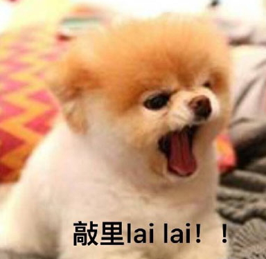 敲里lailai是什么意思？敲里lailai表情包無水印