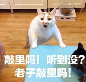 敲里lailai是什么意思？敲里lailai表情包無水印