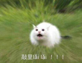 敲里lailai是什么意思？敲里lailai表情包無水印