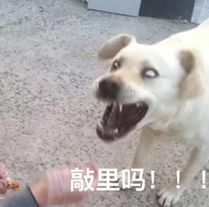 敲里lailai是什么意思？敲里lailai表情包無水印