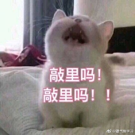 敲里lailai是什么意思？敲里lailai表情包無水印