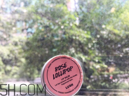 lush潤唇膏好用嗎？lush潤唇膏多少錢？