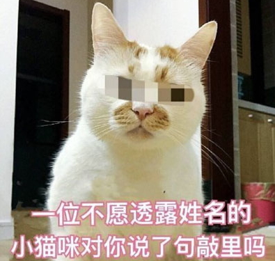 敲里lailai是什么意思？敲里lailai表情包無水印