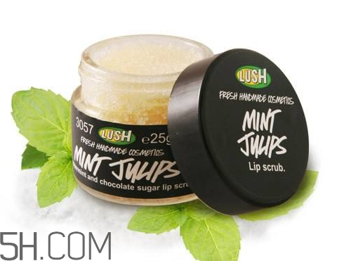lush唇部磨砂膏好用嗎？lush唇部磨砂膏多少錢？