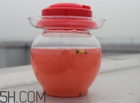 泡菜水能喝嗎？泡菜水的制作方法