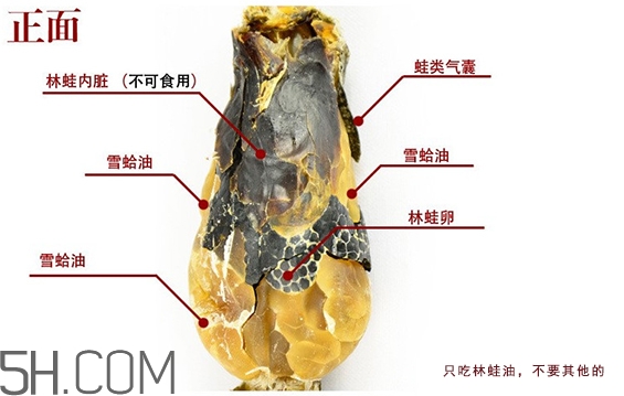 林蛙哪些部位不能吃？林蛙有什么營(yíng)養(yǎng)