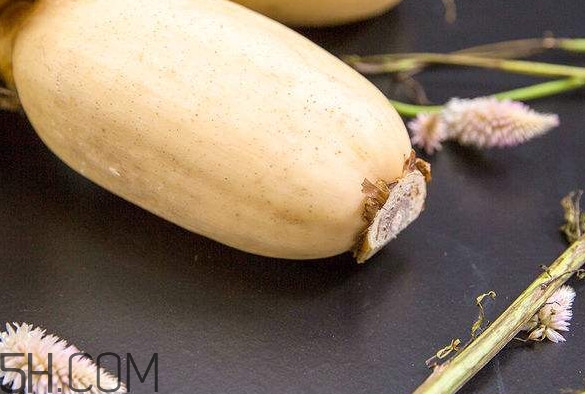 蓮藕是什么季節(jié)成熟的？蓮藕什么時候種植