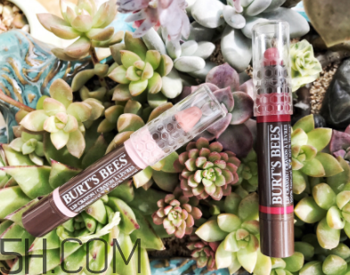 小蜜蜂唇膏筆多少錢？小蜜蜂唇膏筆很貴嗎？