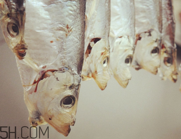腌咸魚鹽和魚的比例是多少？咸魚一般腌多久才能曬