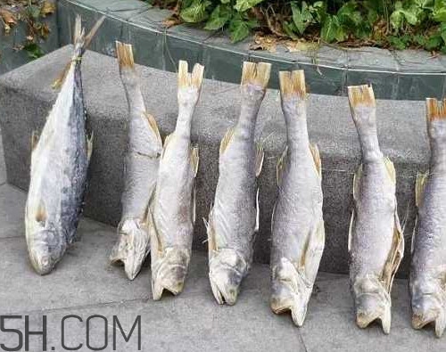 咸魚長(zhǎng)毛還能吃嗎？怎樣辨別咸魚是否變質(zhì)