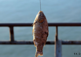 咸魚(yú)什么人不能吃？怎樣去除咸魚(yú)的咸