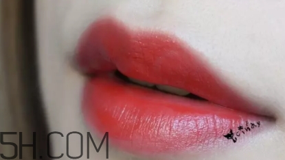 mac lady bug好看嗎？lady bug試色
