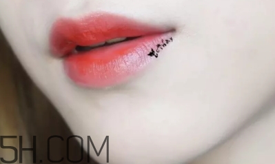 mac lady bug好看嗎？lady bug試色