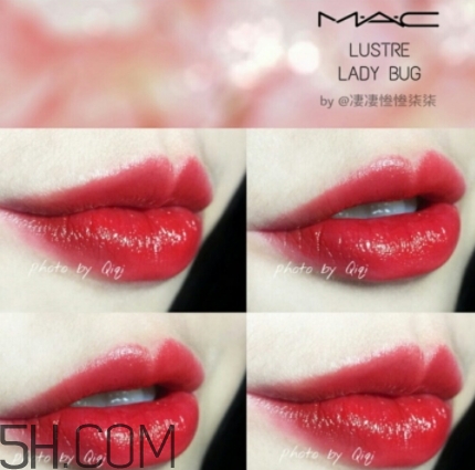 mac lady bug好看嗎？lady bug試色