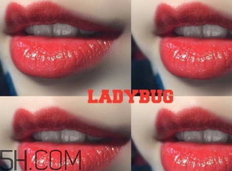 mac lady bug掉色嗎？mac ladybug真假辨別