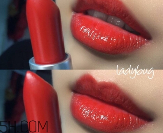 mac lady bug掉色嗎？mac ladybug真假辨別