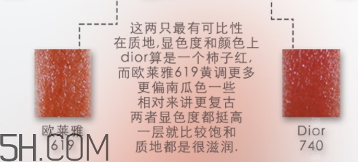 歐萊雅619和迪奧740像嗎？歐萊雅619秋葉和迪奧740對(duì)比