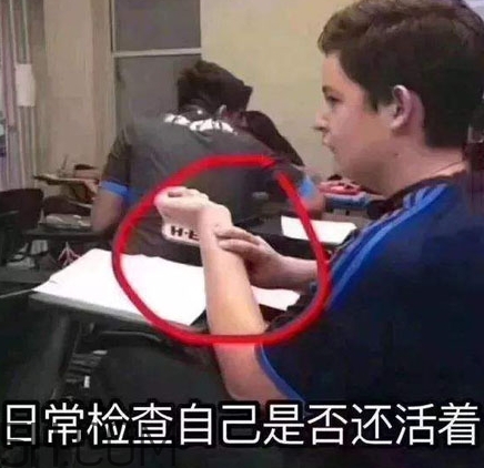 養(yǎng)生朋克什么意思？怎么做一個養(yǎng)生朋克？
