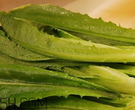 油麥菜的營養(yǎng)價(jià)值_油麥菜的功效與作用及食用方法