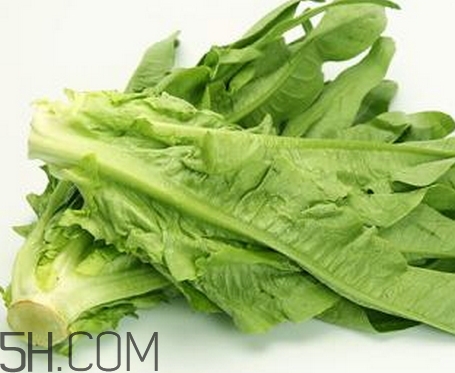 油麥菜的營養(yǎng)價(jià)值_油麥菜的功效與作用及食用方法