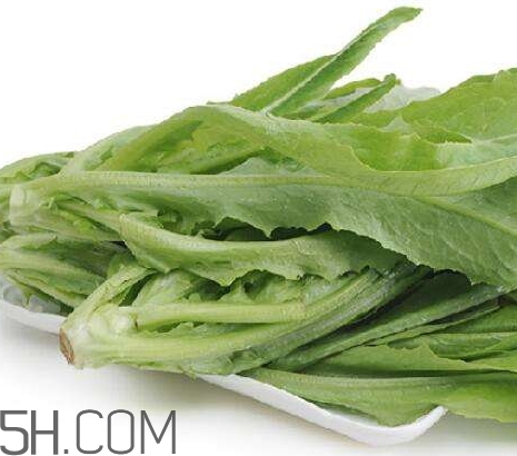 油麥菜的營養(yǎng)價(jià)值_油麥菜的功效與作用及食用方法