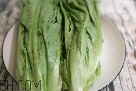 油麥菜的營養(yǎng)價(jià)值_油麥菜的功效與作用及食用方法