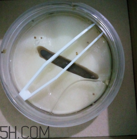 膜法世家金桂花眼膜怎么樣？膜法世家金桂花眼膜好用嗎？